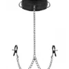 Submission Collar And Nipple Clamp Union