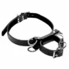 Frog Tie Kneeling Bondage Restrant System – Black