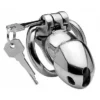 Rikers 24-7 Stainless Steel Locking Chastity Cage – Silver